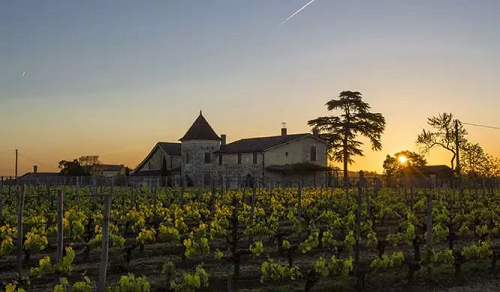 喝酒吃红薯怎么样-喝红酒吃红薯行吗 喝酒吃红薯怎么样-喝红酒吃红薯行吗